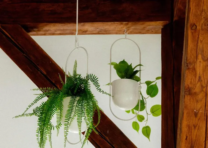 Oldtown Design - Near - Schlossberg View - By Casa Momo