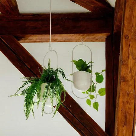 Brand New City Center Design Apartment - Near University- Schlossberg View - By Casa Momo